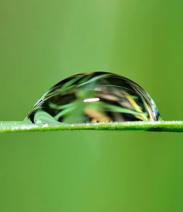 Adjuvants