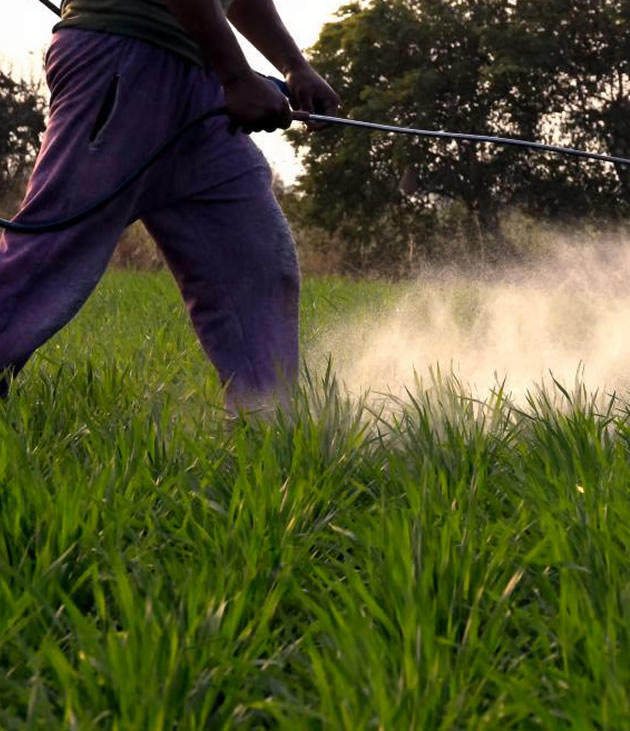 growing_essentials_insecticides