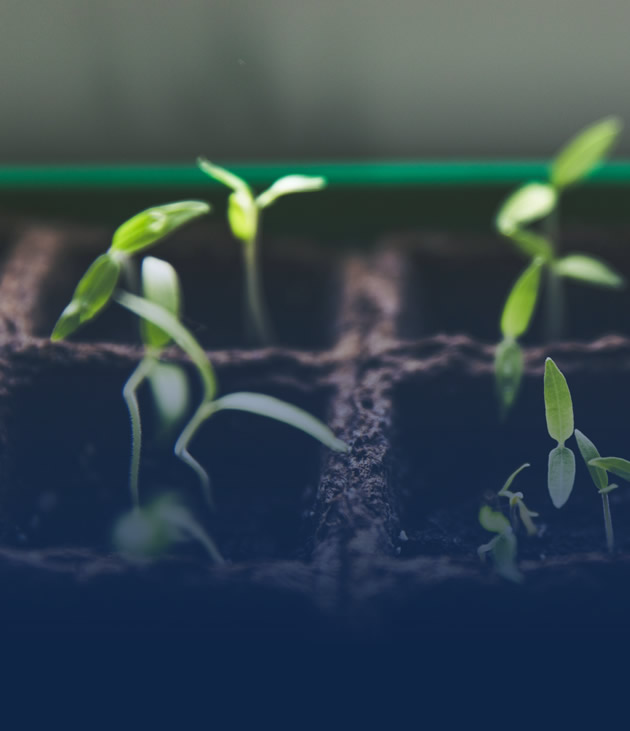 Crop protection solutions